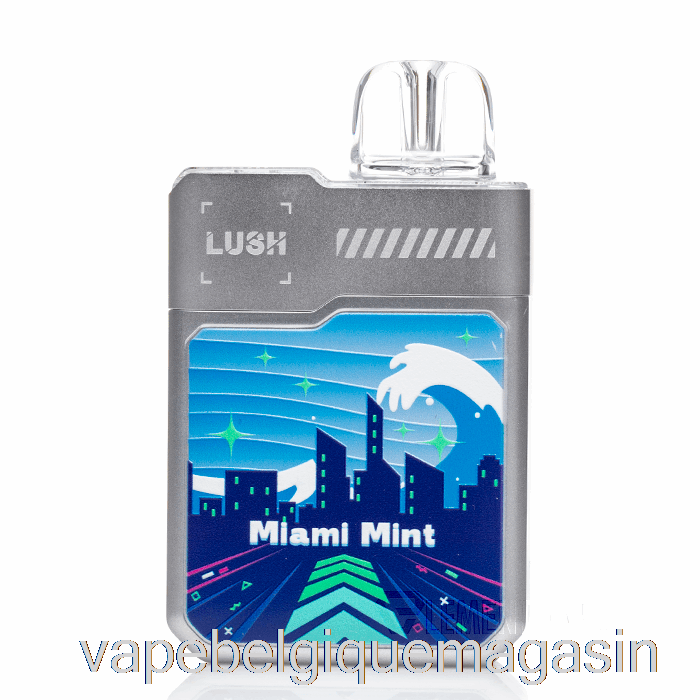 Vape Jetable Digiflavor X Geek Bar Lush 20k Jetable Miami Menthe